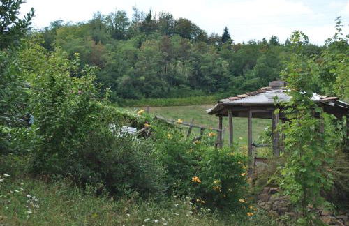 Agriturismo Petrarosa - Photo 20