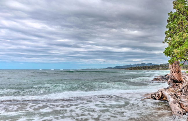 Kauai Hale Iki 1 Bedroom Home - Foto 27