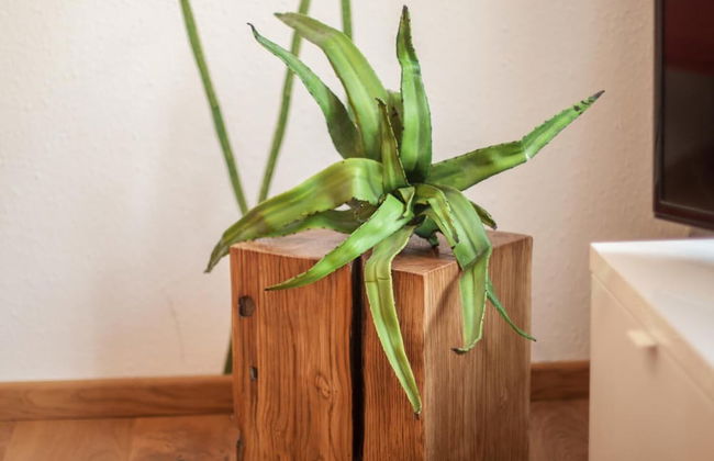 Wohnen im Herzen der Altstadt - Photo 4