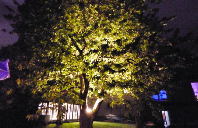 Feuerscheid Countryside Mansion - Foto 8