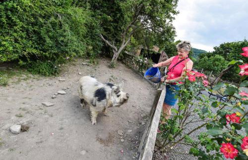 1 Bed in Welshpool oc-75714 - Foto 14