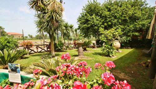 Agriturismo La Chiana - Foto 4, Garden view