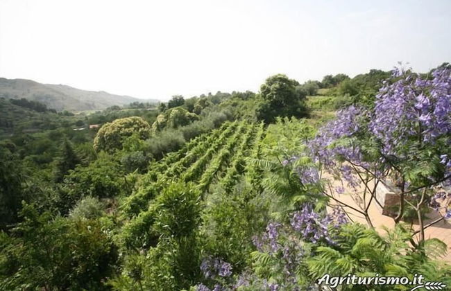 Agriturismo Etna-Mare - Photo 59