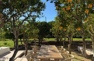 Can Joan Yern - Foto 10