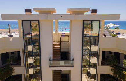 Hello Cosmo - Photo 3