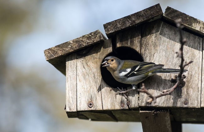 Casas da Levada - Foto 56