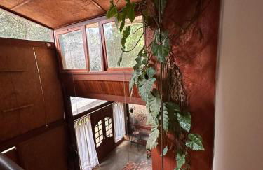 Maravilhosa Casa da Floresta - Foto 1