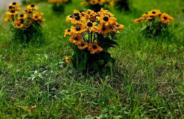 gemütliche Unterkunft II - Photo 18