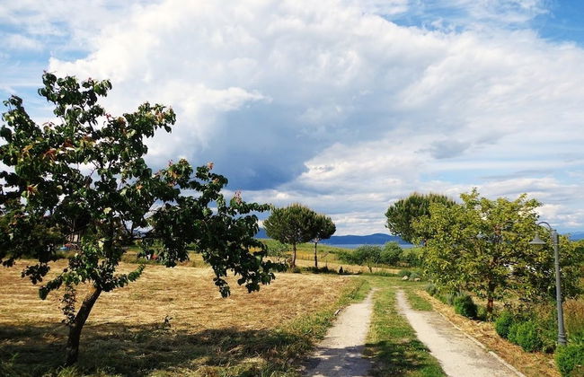 Agriturismo Fontelupo - Foto 16