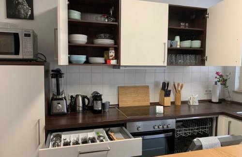 Boutique Apartment Villa Landenberger Outlet Metzingen P12E - Foto 19