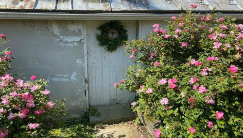 The Bears Den at La Soledad - Foto 3