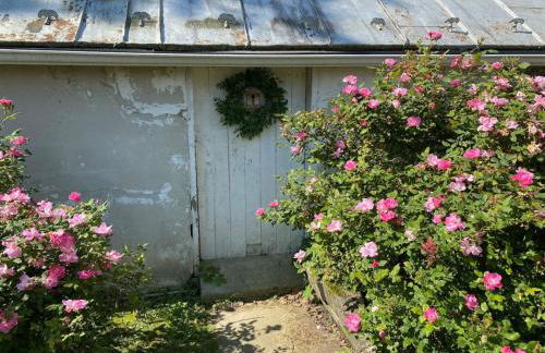 The Bears Den at La Soledad - Foto 3