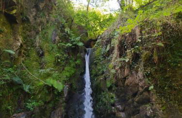 CASA RURAL PALACIO LOS LABREQUINES - Photo 44