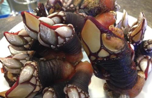 1ª LÍNEA DE PLAYA, VISTAS AL MAR Y MUY CÉNTRICO. - Foto 48