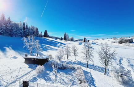 MV Vacances - Foto 14