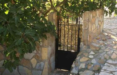 Theisoa.Old Little house in the garden . Andritsaina. - Foto 20