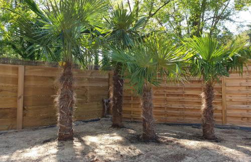 Blue Ocean - Foto 31