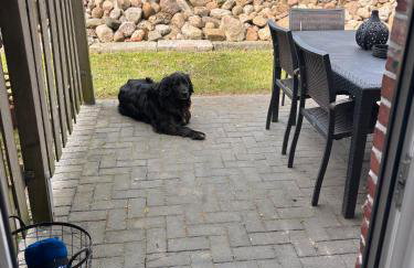 Gut Bennewohld - Foto 22