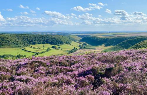 Grove House Levisham - Foto 23