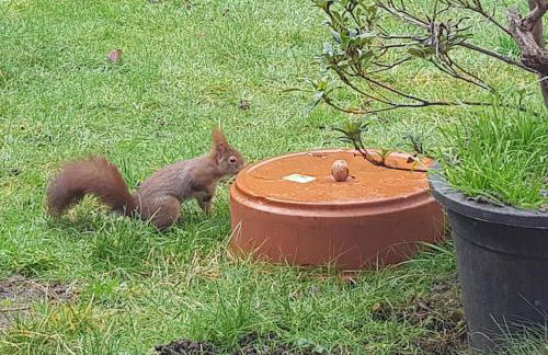 Tolstov House - 6 Room Villa with Garden - 15 Min Messe DUS & Airport DUS - Photo 68