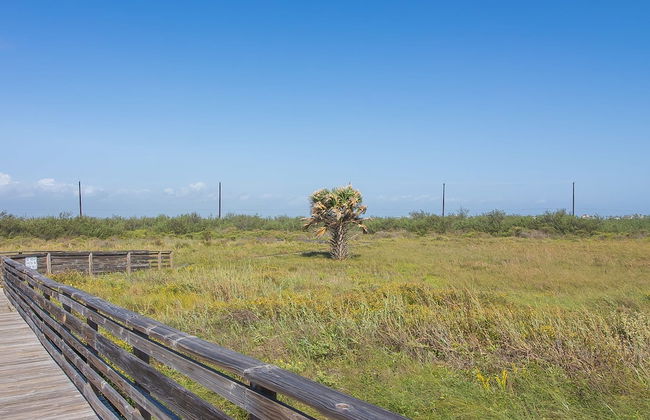 Gulf Adventures and Beachfront Relaxation Awaits - Foto 58