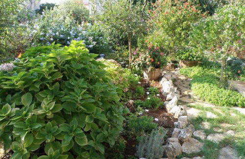 Apartments by the sea Ugljan - 8468 - Foto 7