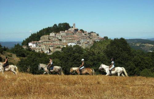 Luciano e Norma House Il Rustico - Foto 10