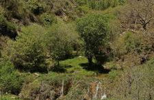 Xenia Alojamientos - Foto 65