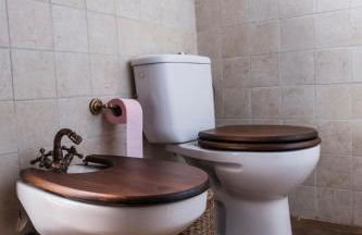 San Borondón - Foto 33