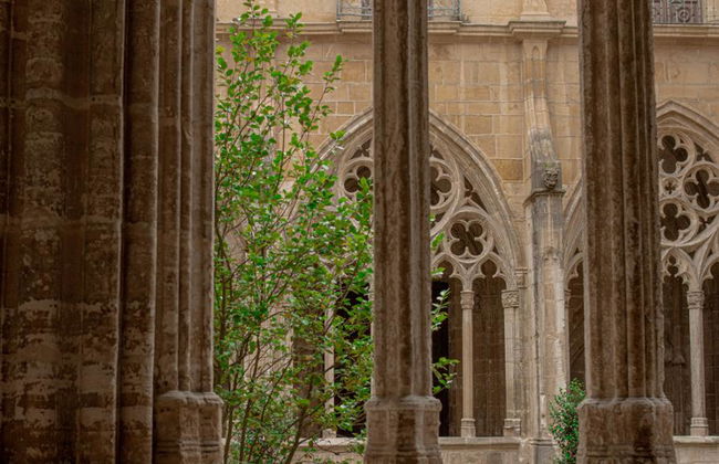 Découvrez la cathédrale d'Oviedo - Visite - Photo 3
