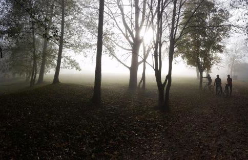 Appartamento EDELWEISS - Foto 17