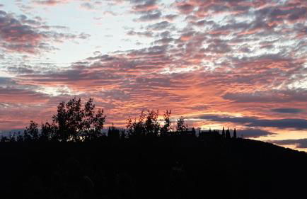 Tenuta Colverano - Foto 13