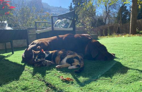 Vista Mora Sierra Cazorla - Foto 25