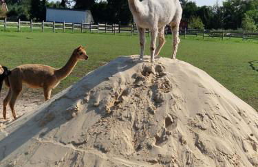 Ferienhof Bron - Foto 12