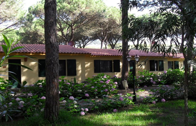 1 Ala Birdi Cottage Trilocale - Foto 33