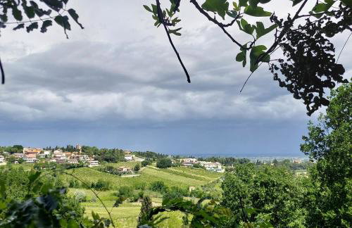 la cana dolce - Foto 26