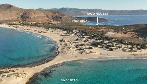 Tago Houses - Photo 4