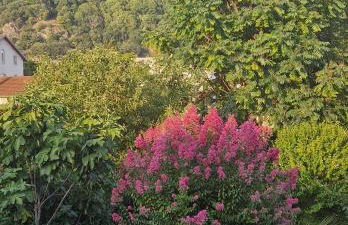 La Note Verte - Parking gratuit devant l'entrée - Foto 28