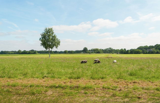 Quaint Farmhouse in Waskemeer near Forest - Foto 34