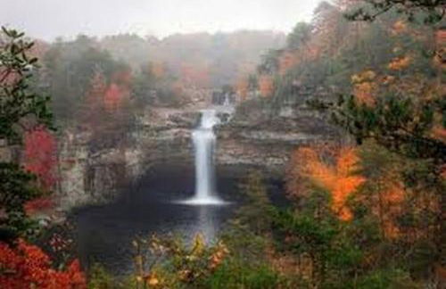 Countryside Escape with free wifi in house laundr - Foto 40