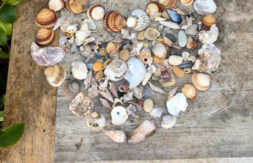 Beach Villa Spacious, Renovated & All-Included - Foto 72