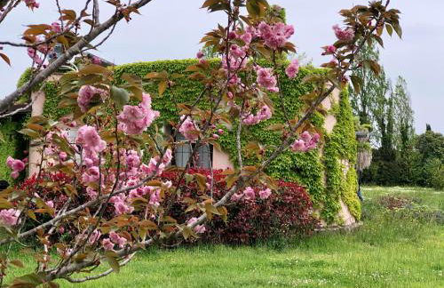 Masseria La Torre - Foto 91