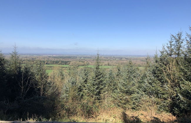 The Lodge - Rural Tipperary Bordering Kilkenny - Photo 12