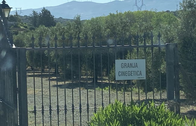 Cortijo Galván - Photo 67