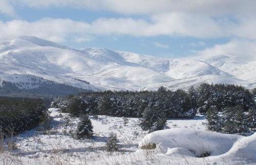 Tinao de Gredos - Foto 26
