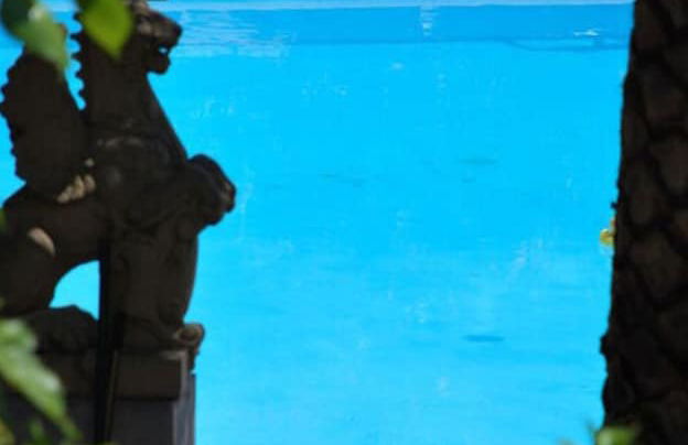 Tuinappartement - Castel D'incze - Foto 5