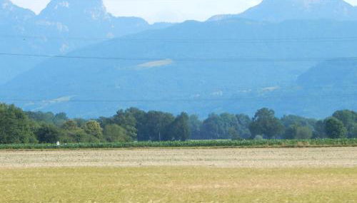 Ferienwohnung Am Feldbach - Photo 5