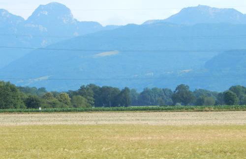 Ferienwohnung Am Feldbach - Foto 5