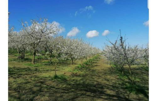 Lovely Apartment in Hesse - Foto 58