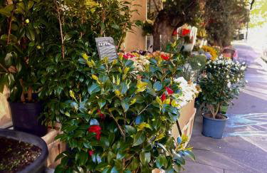 Magnifique Appartement - 3 BR-Arc de Triomphe - Foto 28